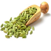 Cardamom