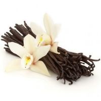 Vanilla